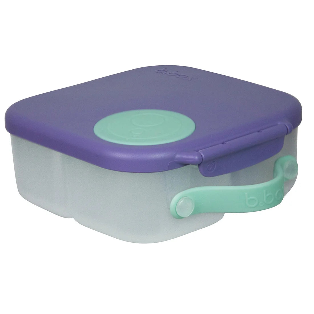 Mini Lunchbox 