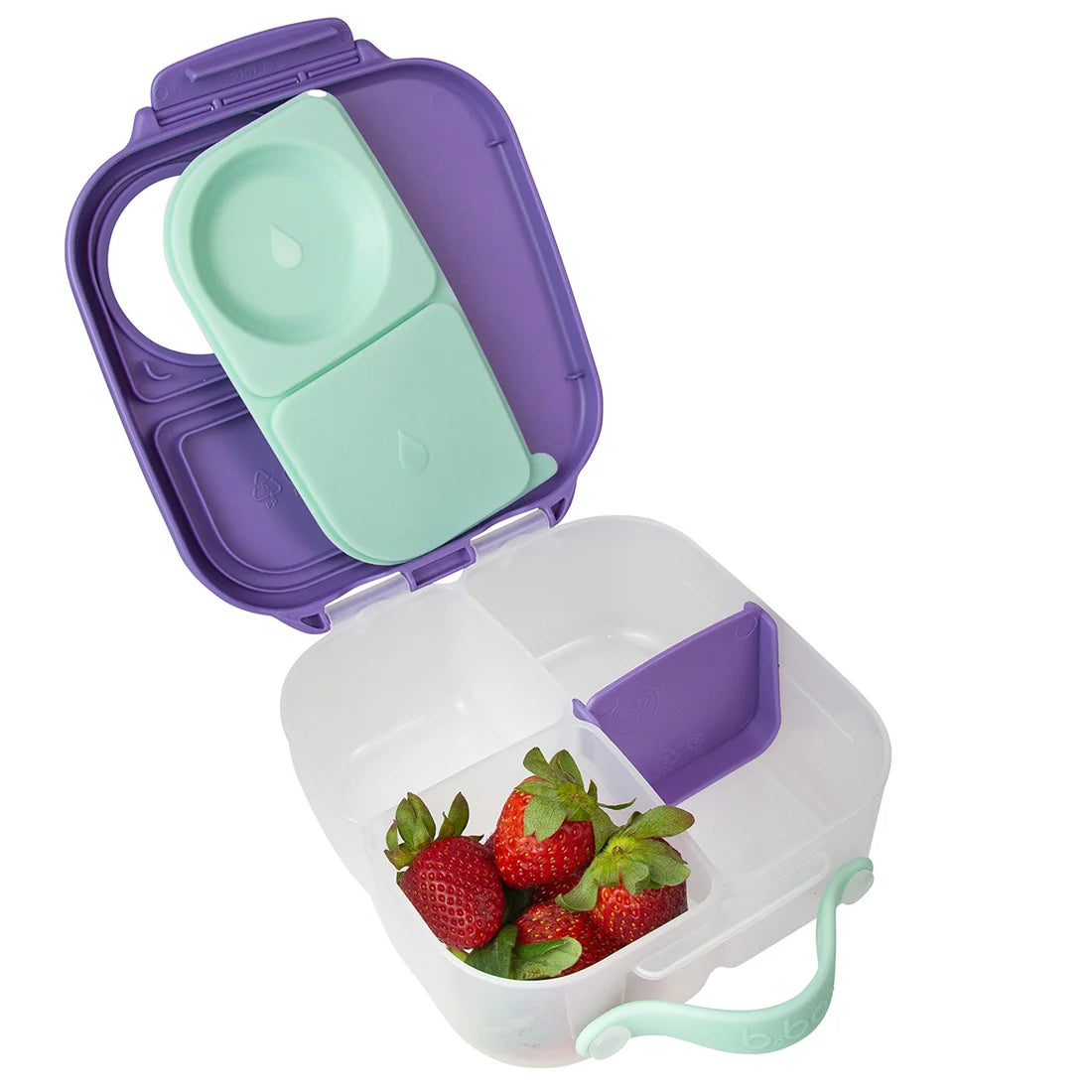 Mini Lunchbox 