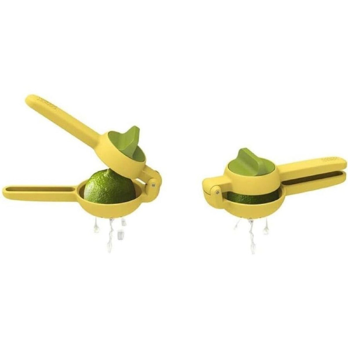 Citrus Press