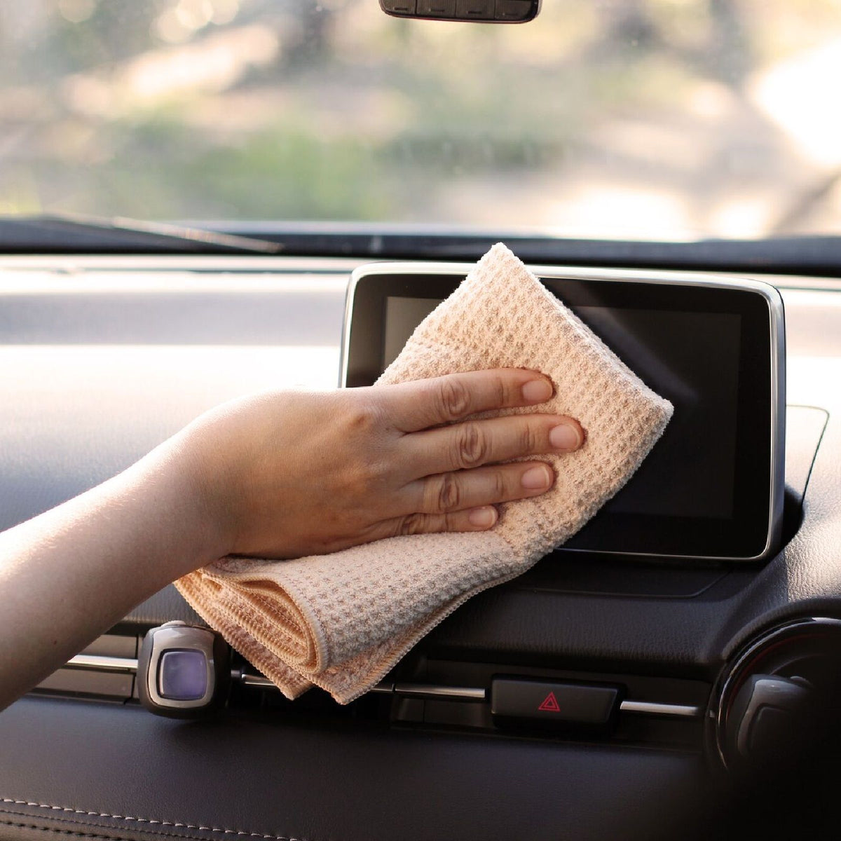 Cloth Car Chamois